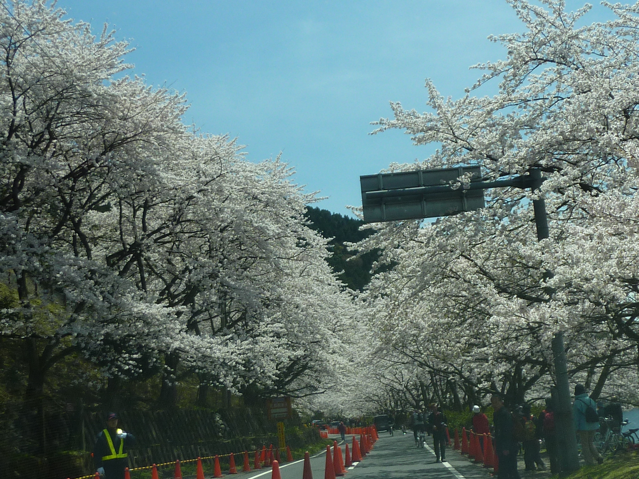 P1120830.JPG