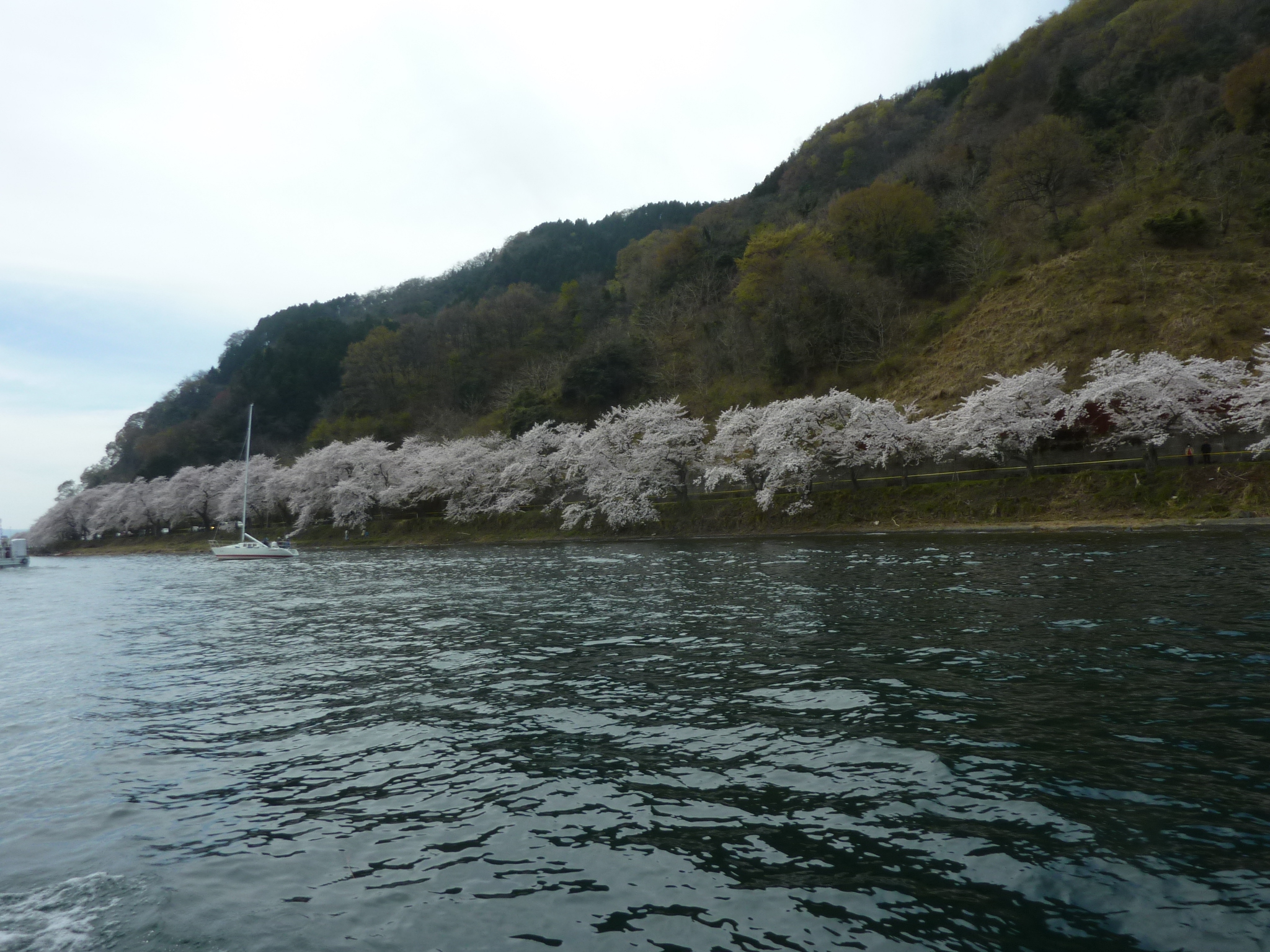 P1120861.JPG