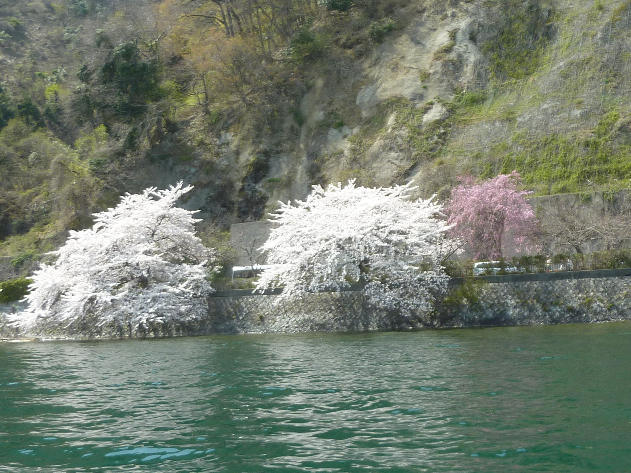 P1120884.JPG