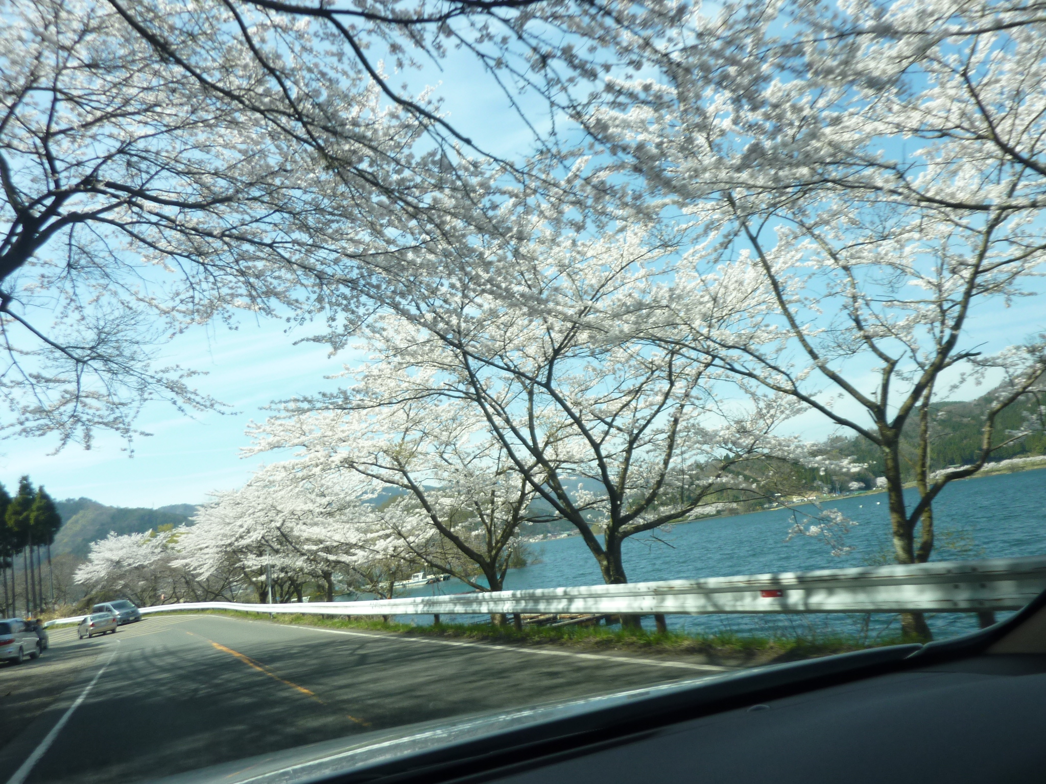 P1120895.JPG