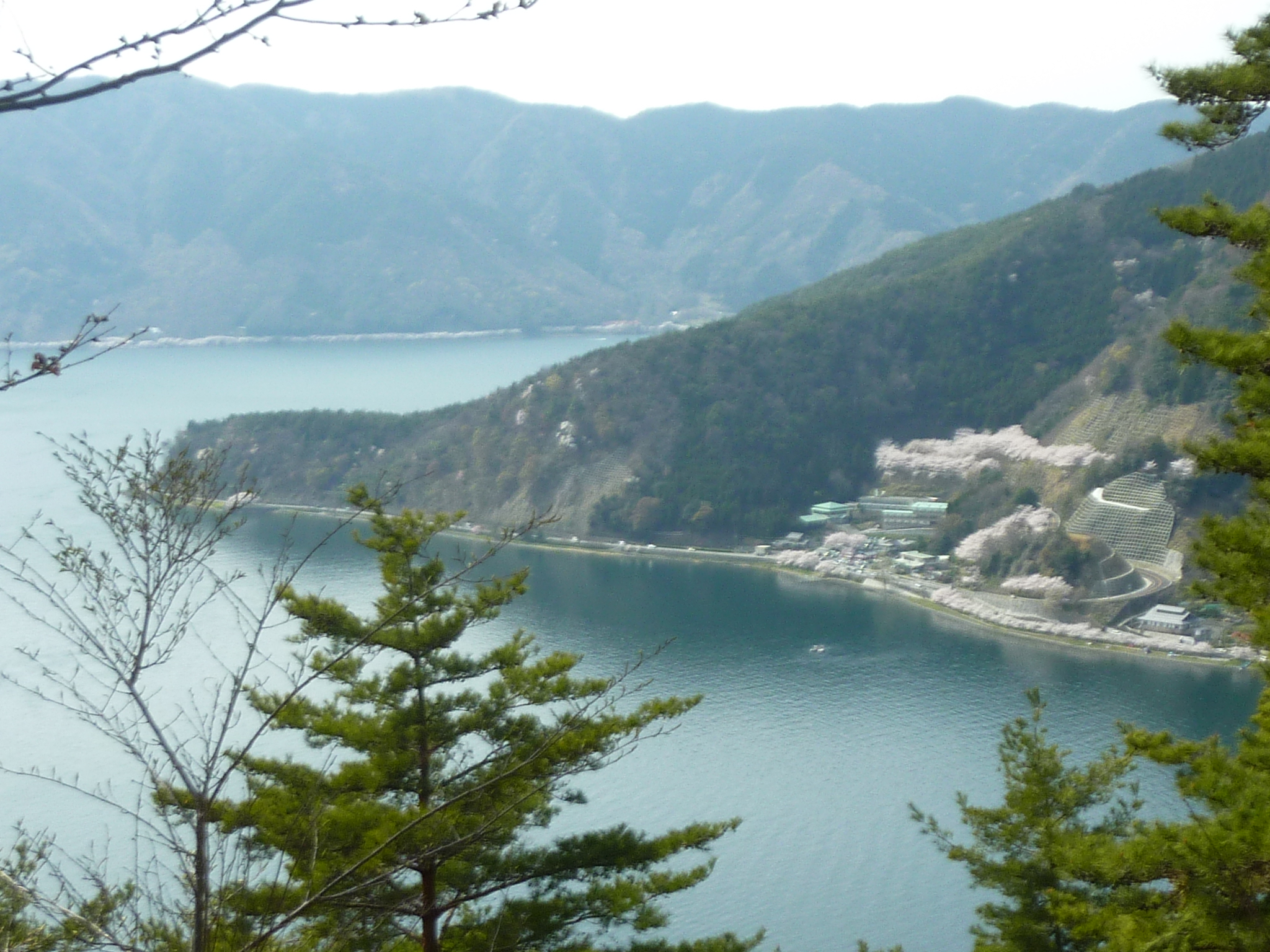 P1120900.JPG