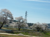 img0004.jpg