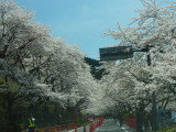 img0010.jpg
