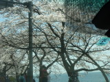 img0011.jpg