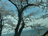 img0014.jpg