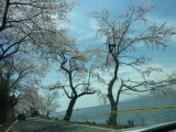 img0015.jpg