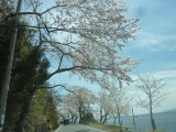 img0016.jpg
