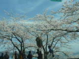 img0022.jpg