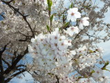 img0028.jpg