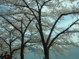 img0029.jpg
