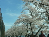img0030.jpg