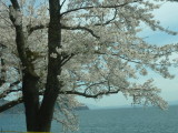 img0031.jpg