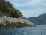 img0041.jpg