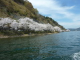 img0060.jpg
