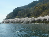 img0064.jpg