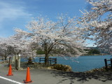 img0067.jpg