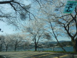 img0071.jpg
