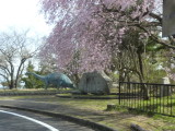 img0079.jpg