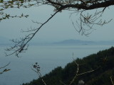 img0082.jpg