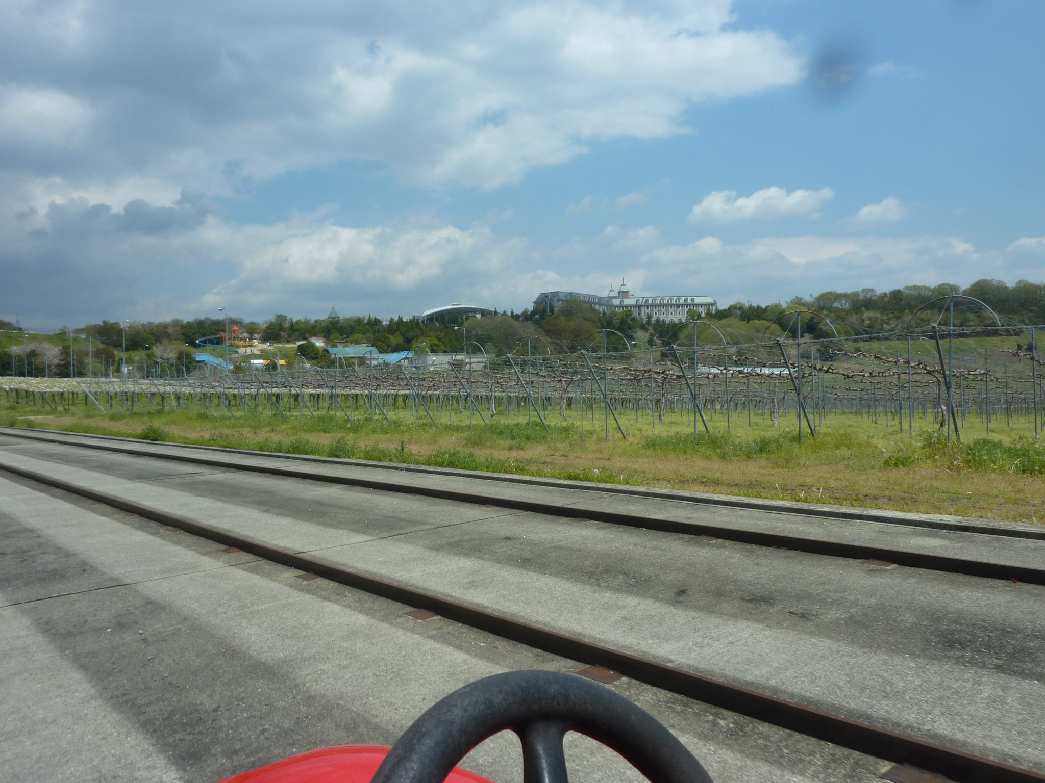 P1130009.JPG