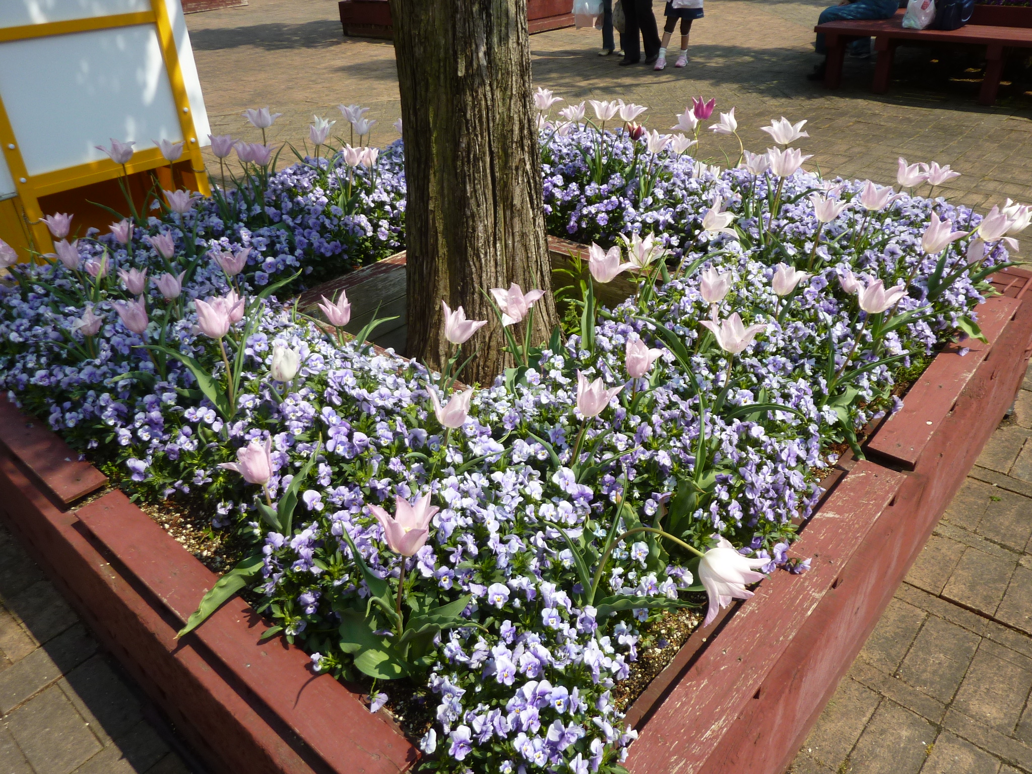 P1130032.JPG