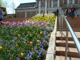 img0002.jpg