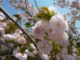 img0008.jpg