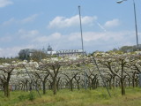 img0015.jpg