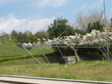 img0016.jpg