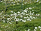 img0017.jpg