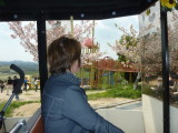 img0021.jpg