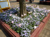 img0034.jpg
