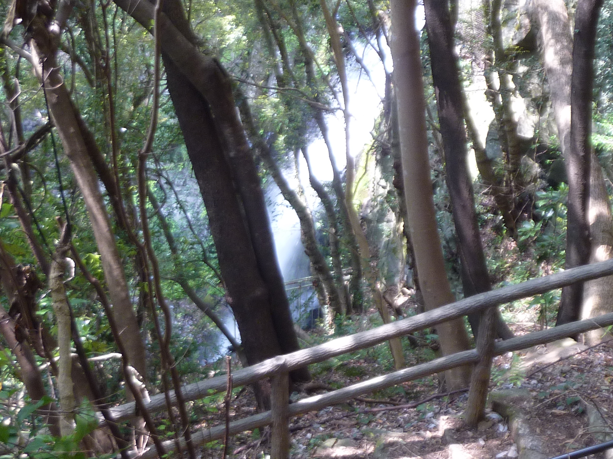 P1130060.JPG