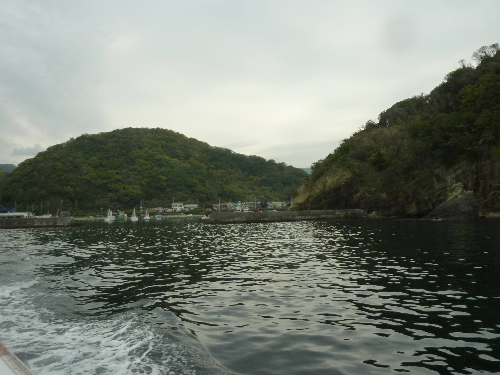 P1130076.JPG