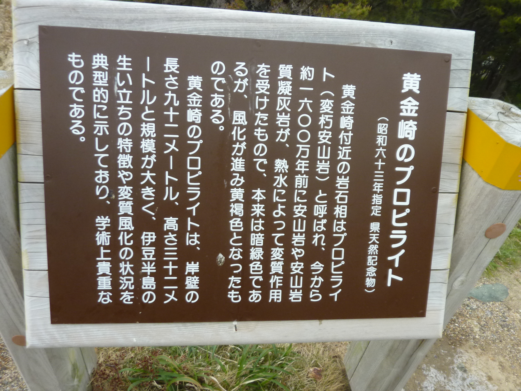 P1130121.JPG