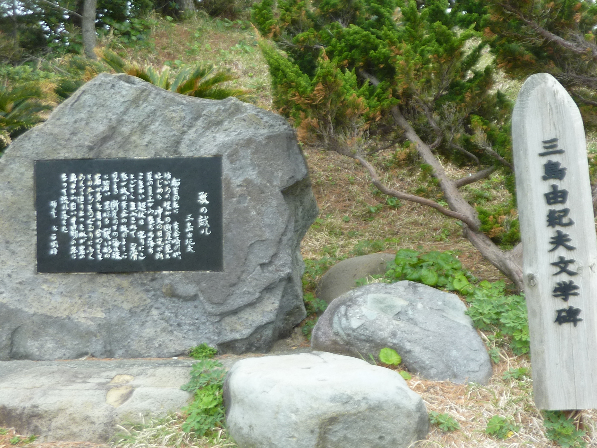 P1130127.JPG