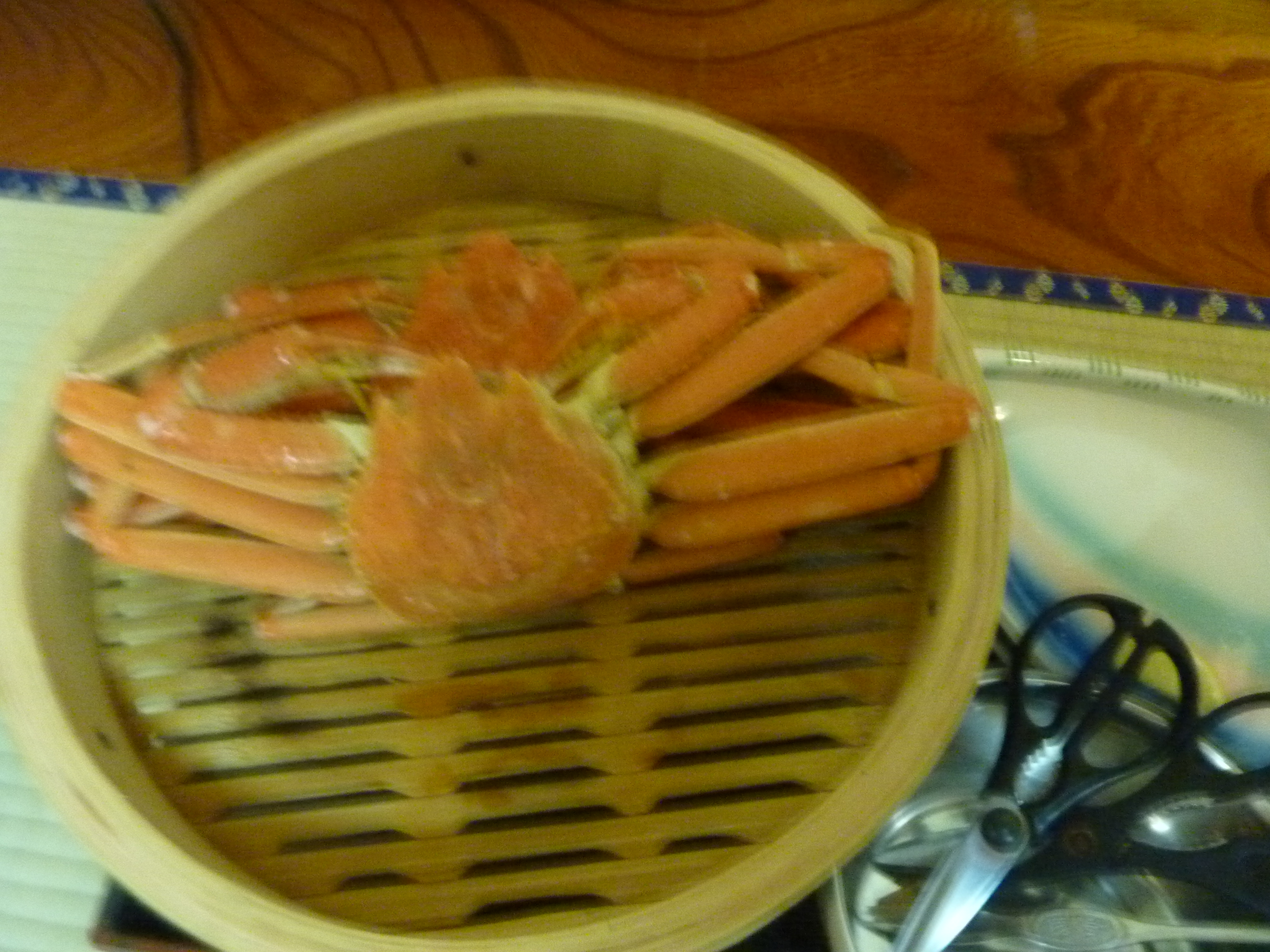 P1130147.JPG