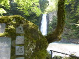 img0008.jpg