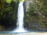 img0009.jpg