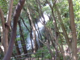 img0020.jpg