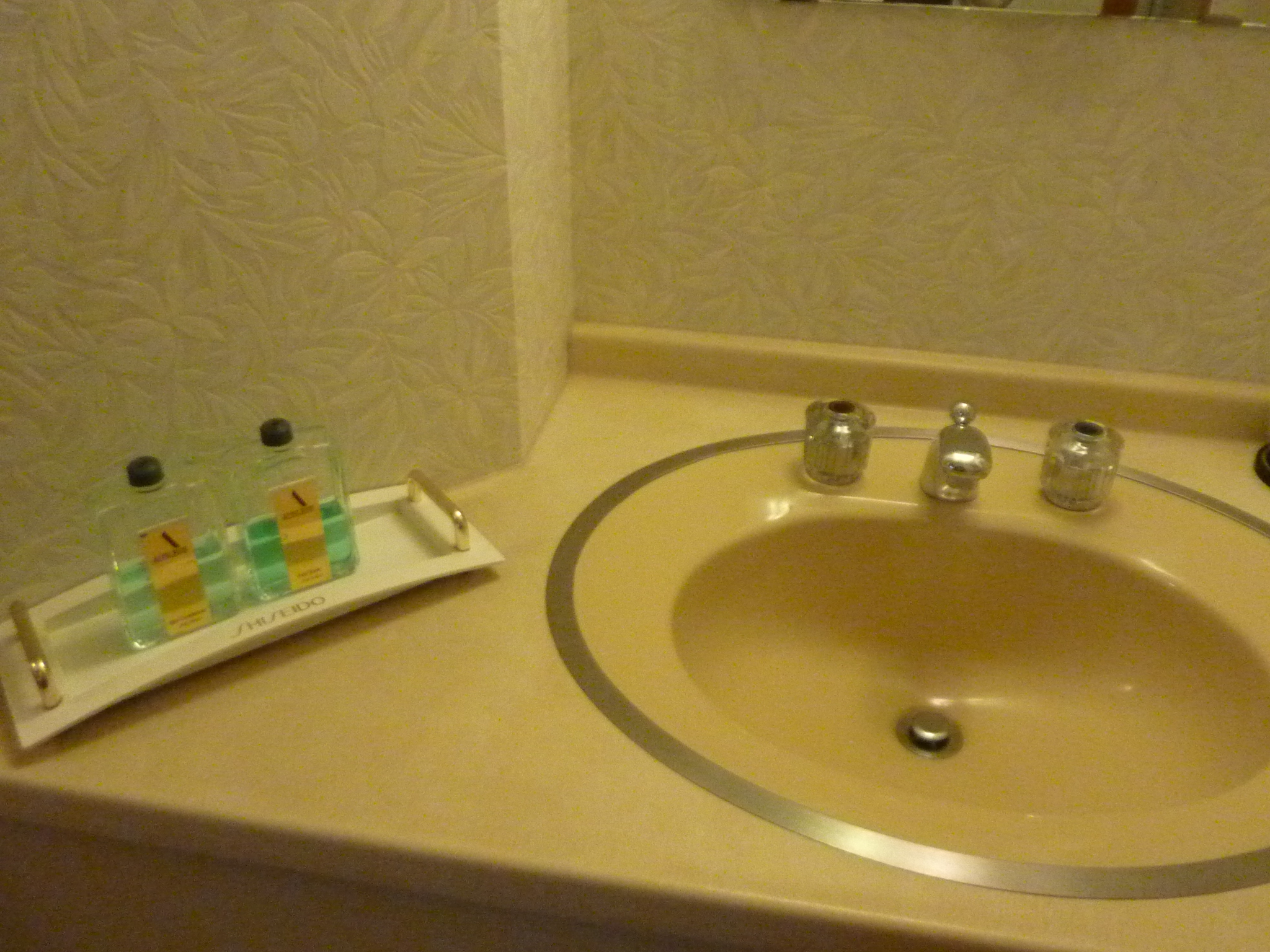 P1130159.JPG