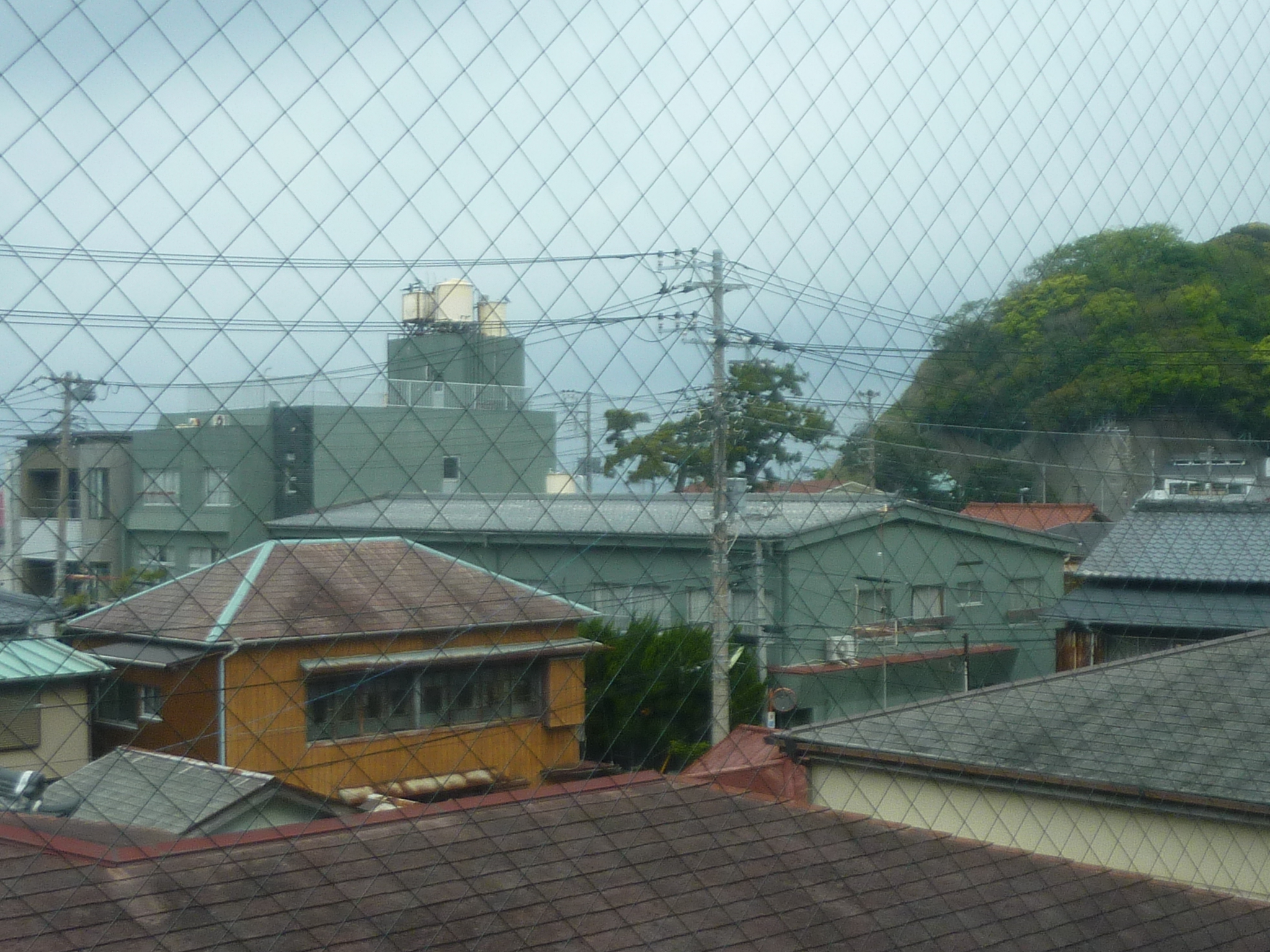 P1130164.JPG