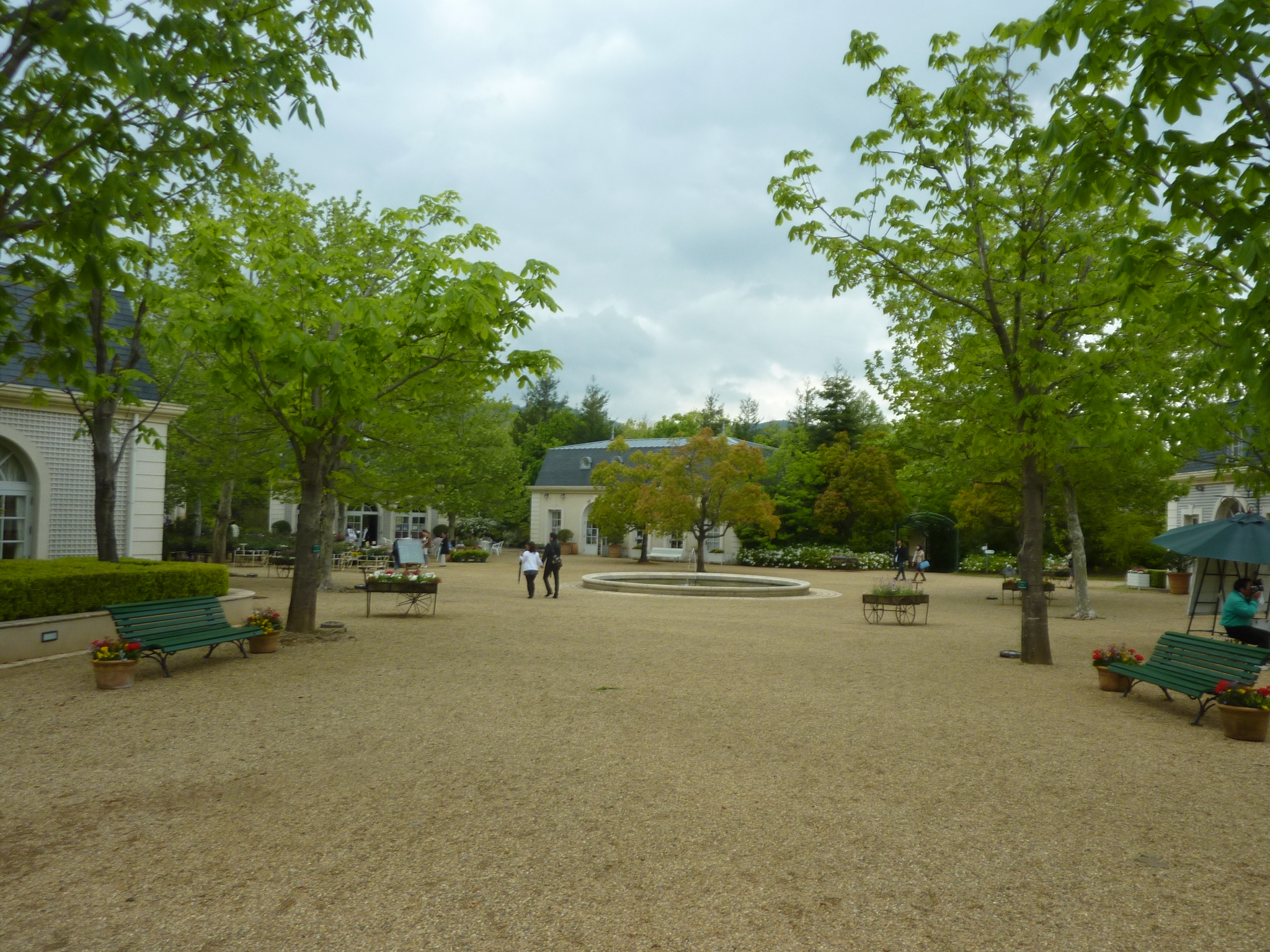 P1130181.JPG