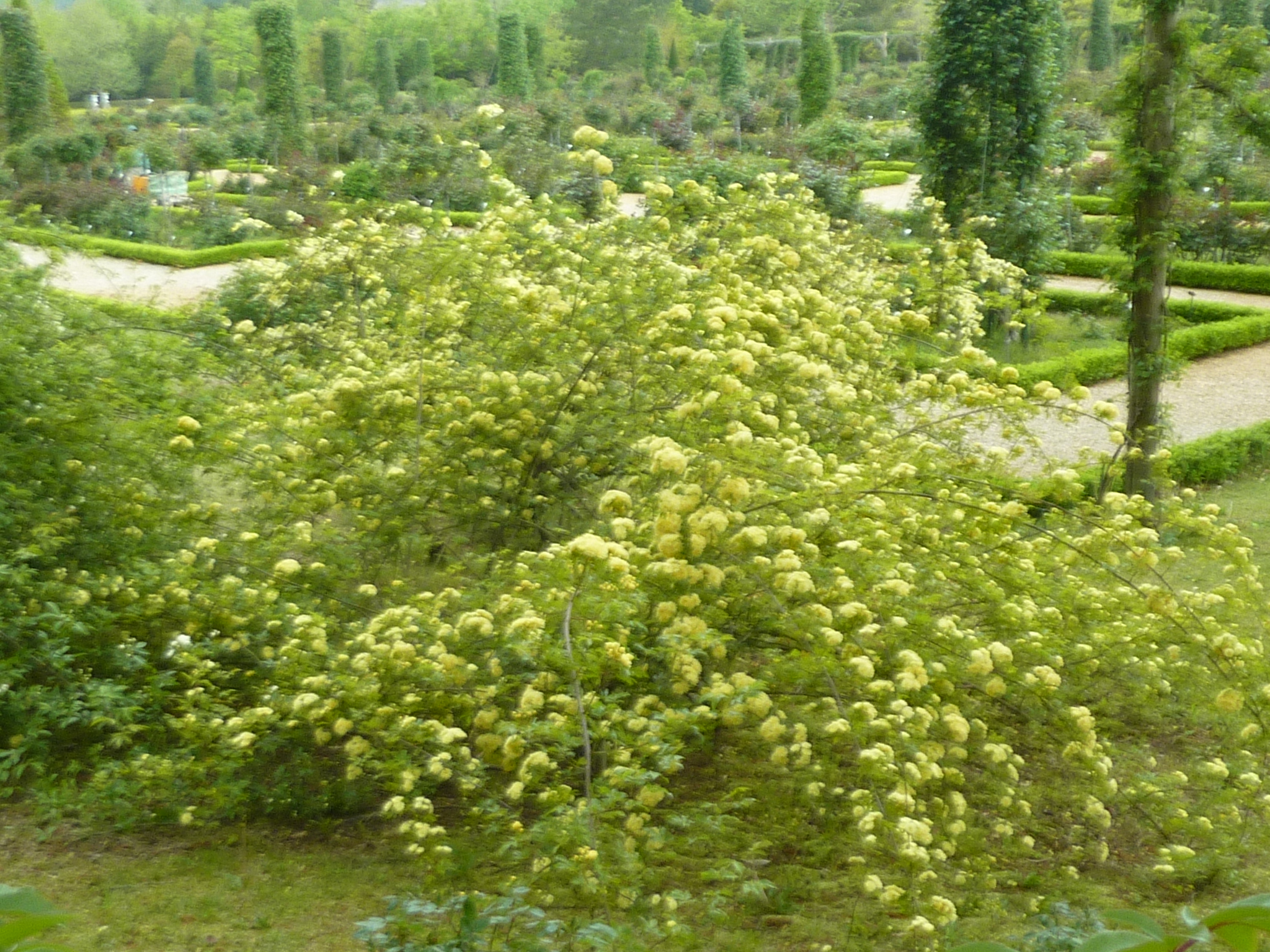 P1130195.JPG