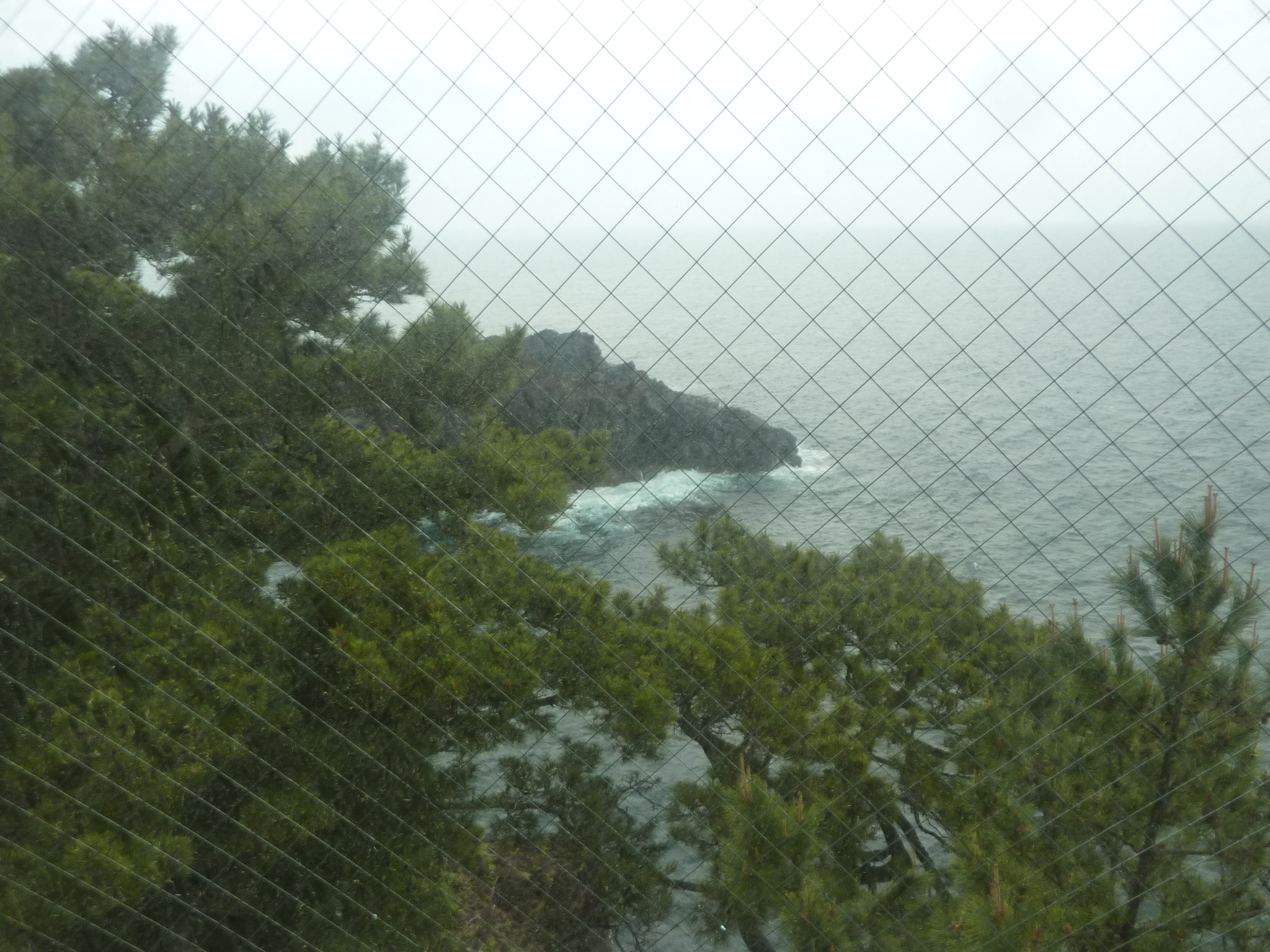 P1130207.JPG