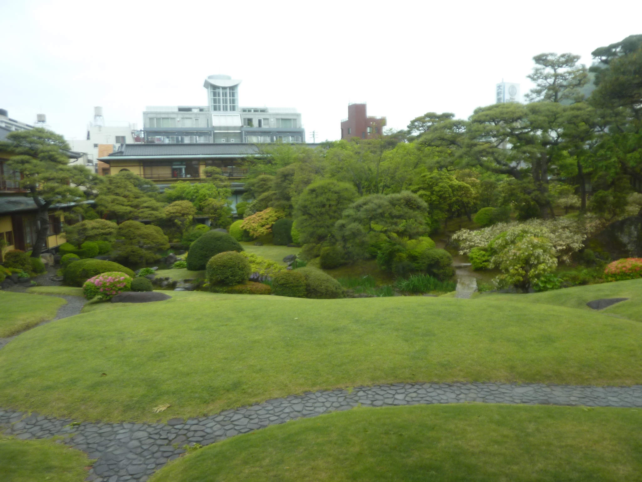 P1130226.JPG