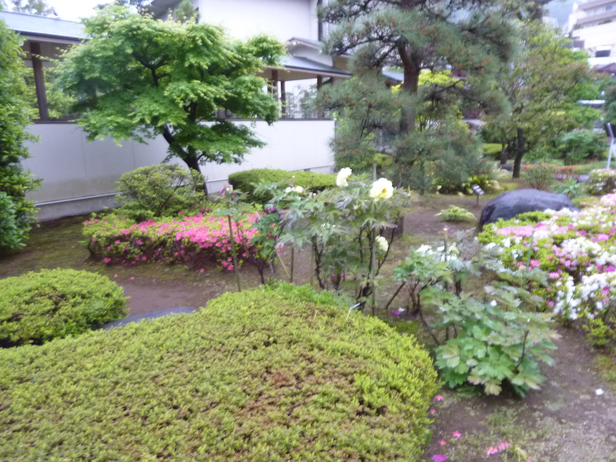 P1130254.JPG