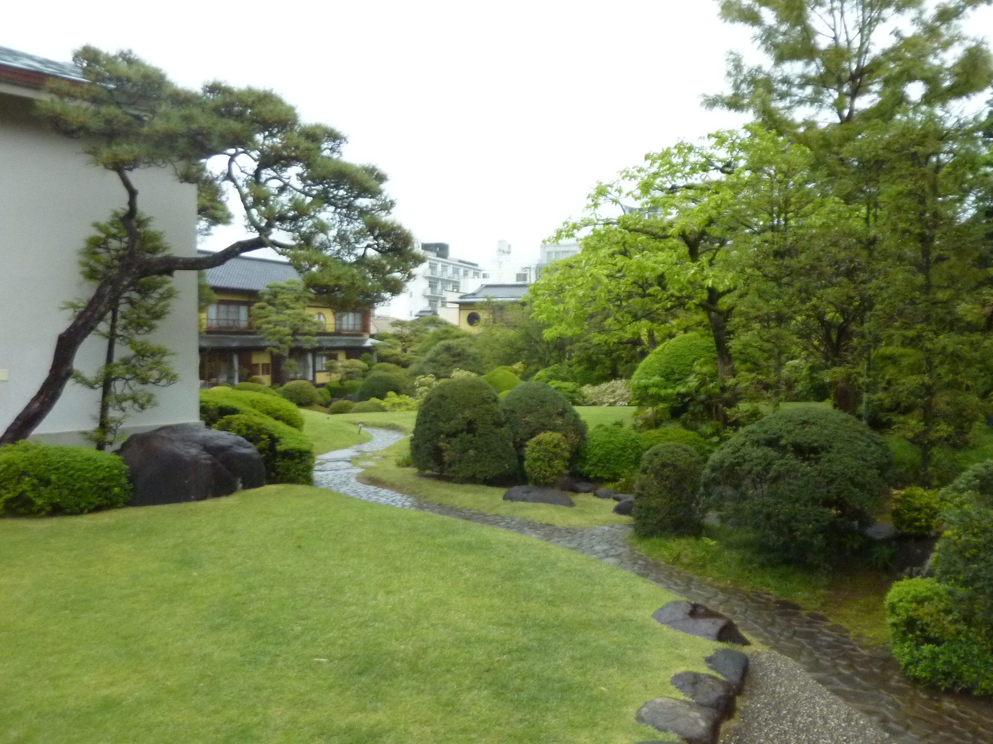 P1130255.JPG