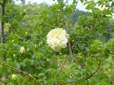 img0031.jpg