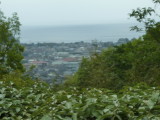 img0033.jpg